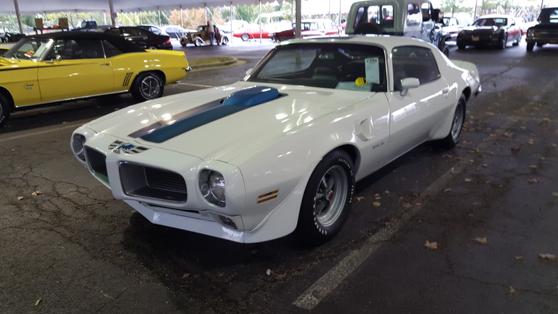 One of several Trans Ams